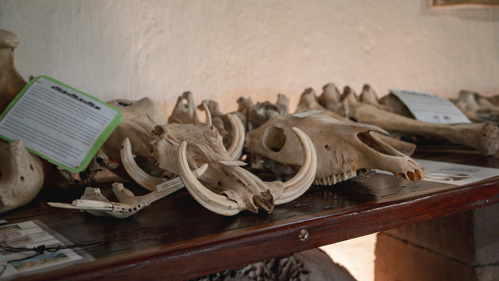 Discovery Room gallery image 3