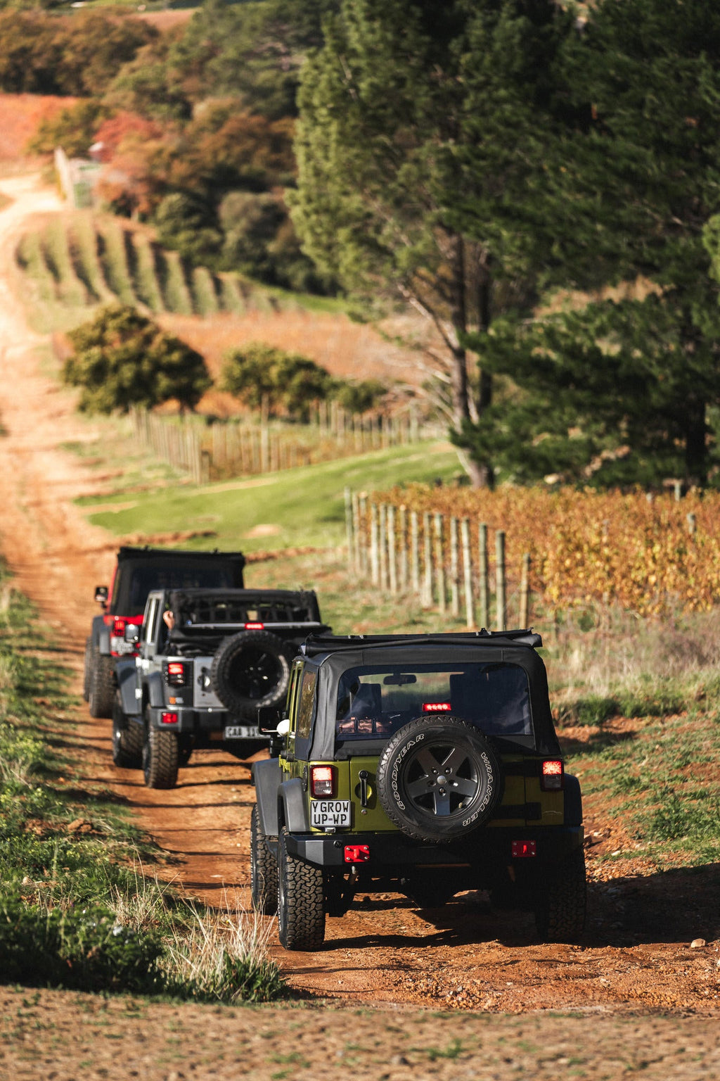 A Wild Wine Adventure  gallery image 2