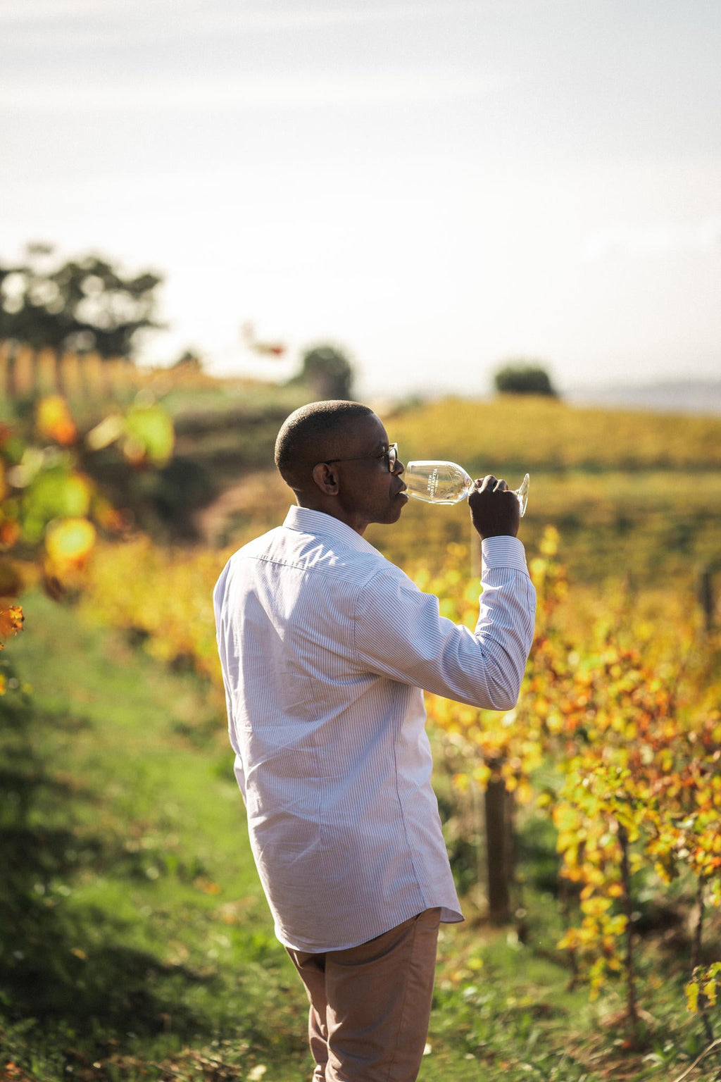 A Wild Wine Adventure  gallery image 3
