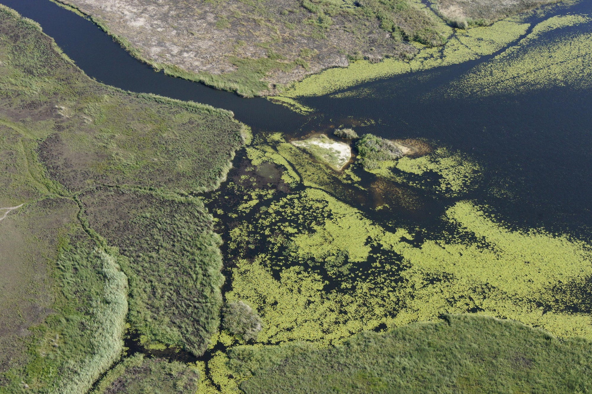 Boat safaris gallery image 16