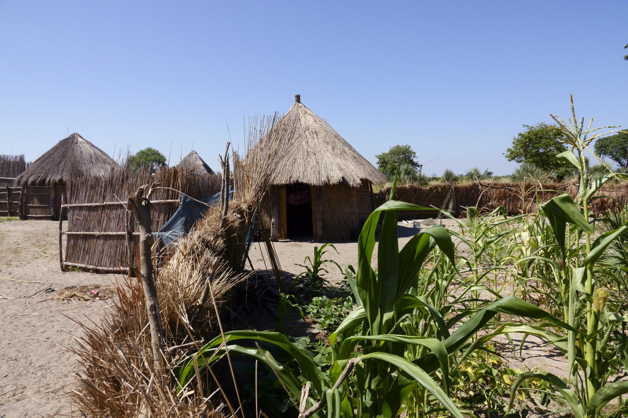 Cultural visit to Jao Village gallery image 4