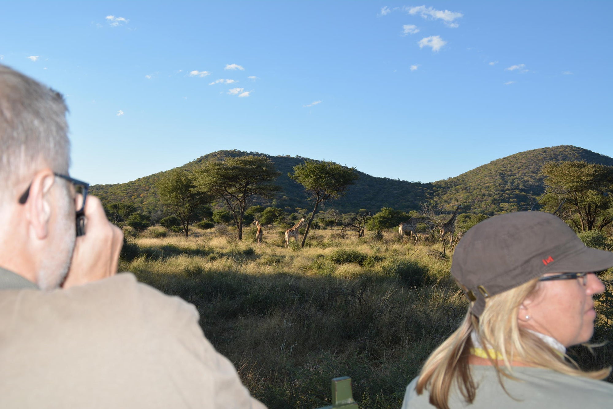 Game Drives  gallery image 4