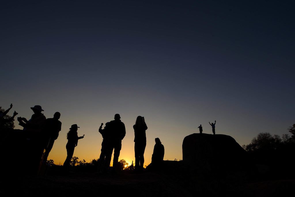 Game Drives gallery image 5