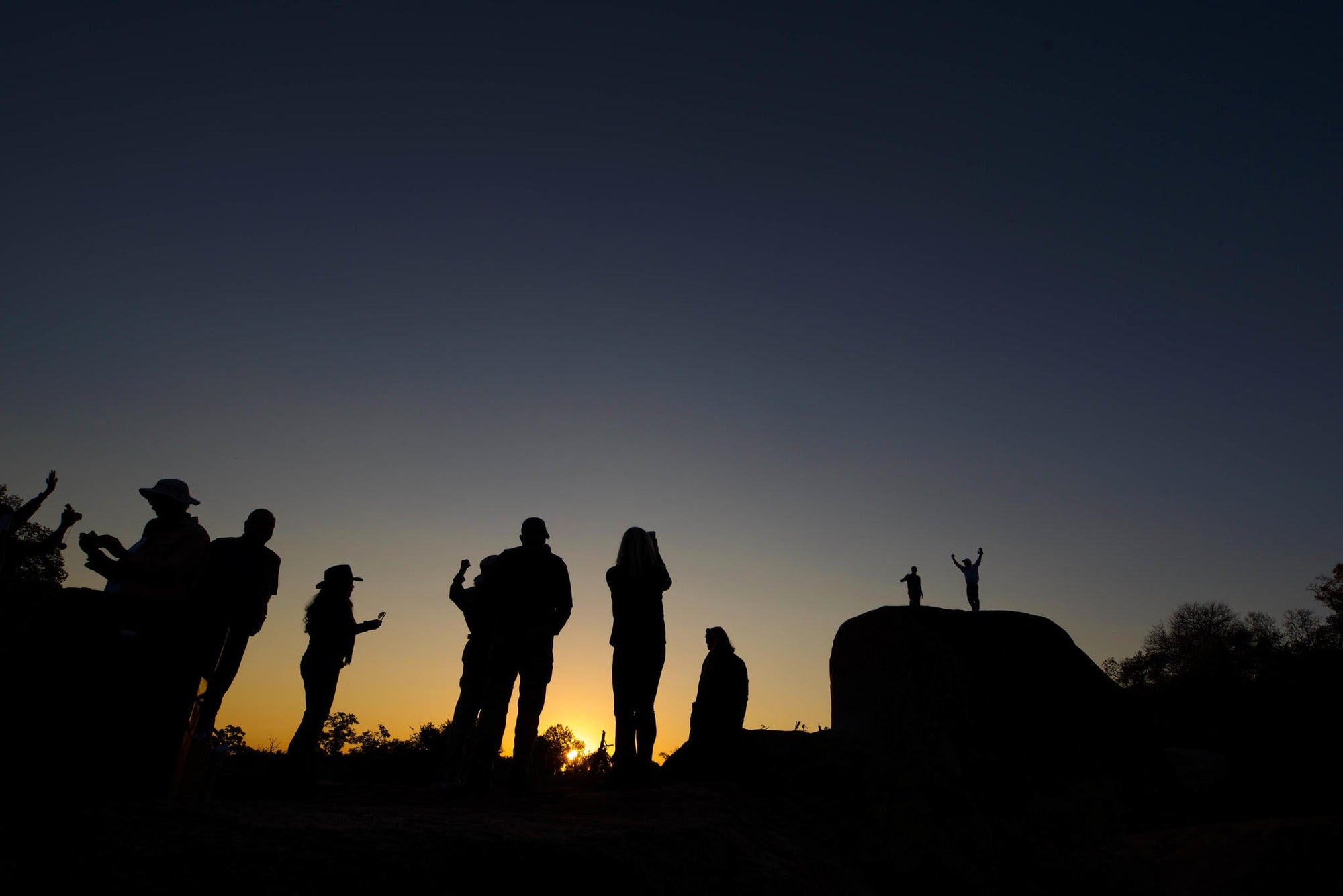 Game Drives gallery image 5