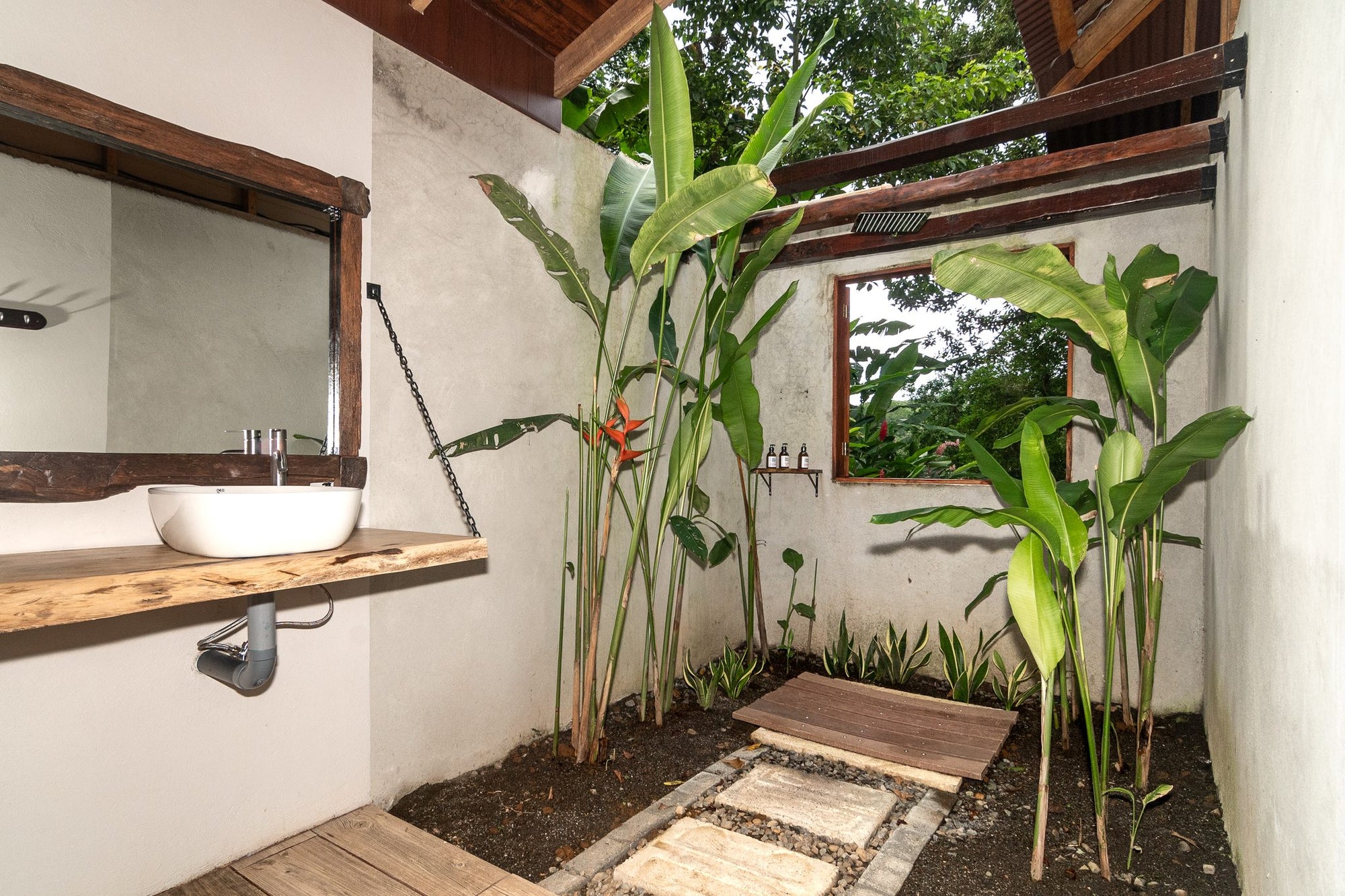 Roble, Danto, Manú, Melina