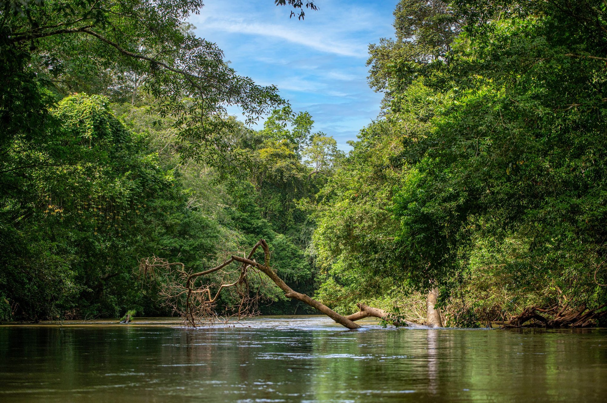 SAFARI TRES AMIGOS RIVER