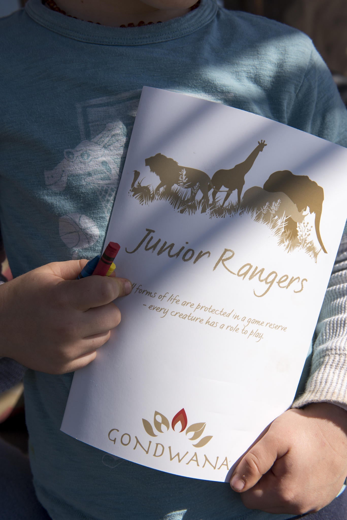 Junior Ranger Programme gallery image 8