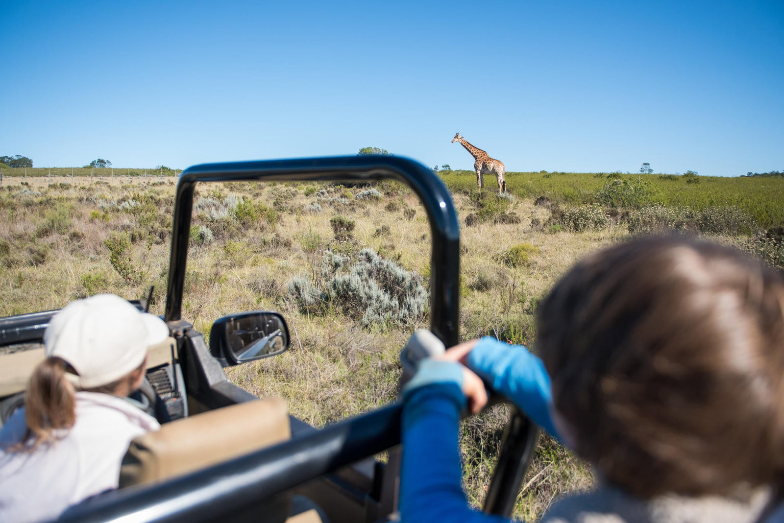 Junior Ranger Programme