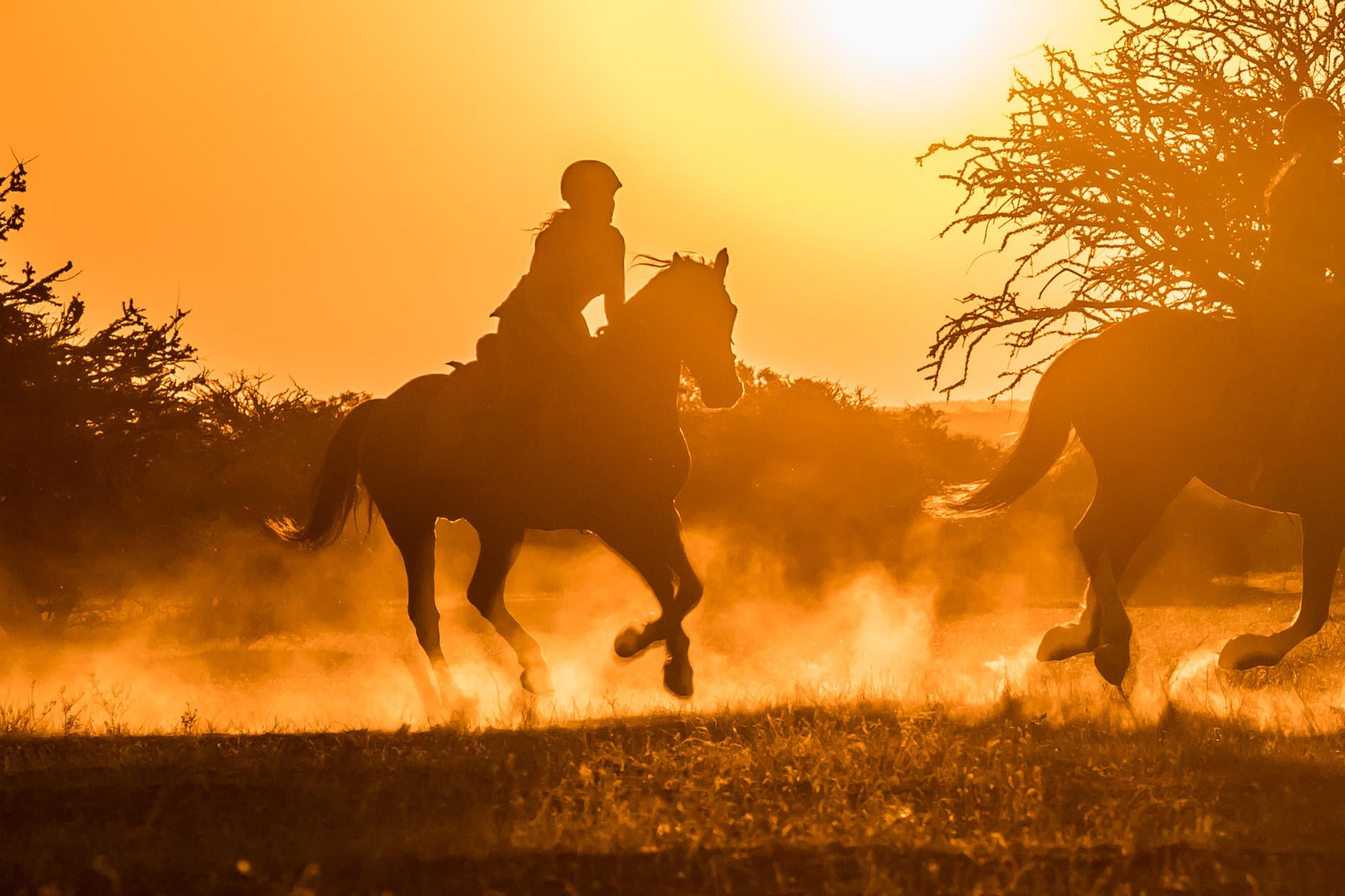 Horseback Mashatu gallery image 4