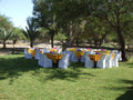 Group Functions gallery image 1
