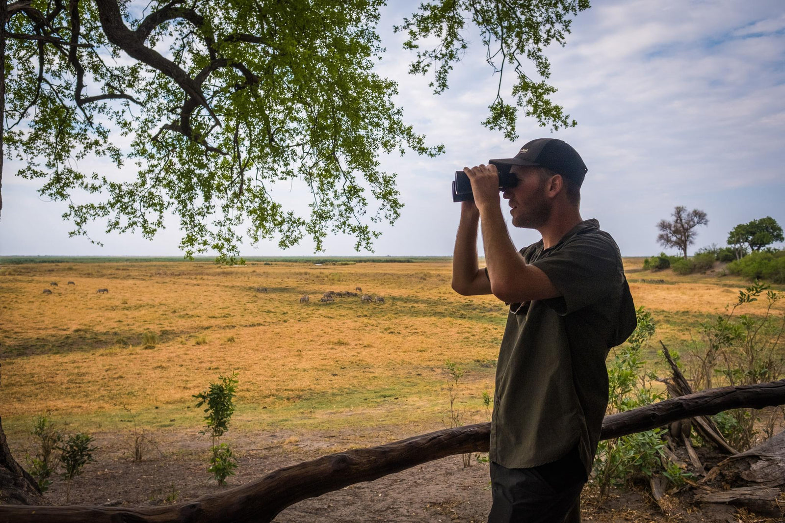 Seasonal birding