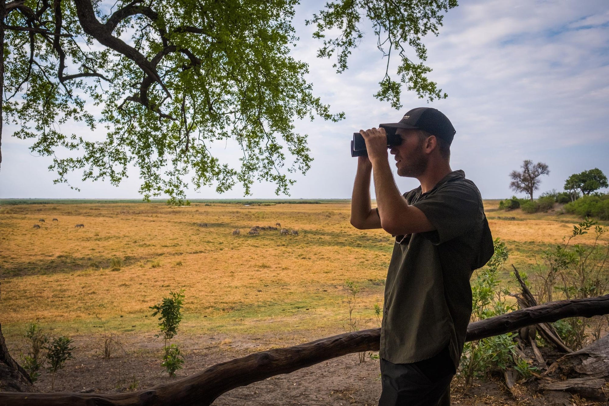 Seasonal birding gallery image 1