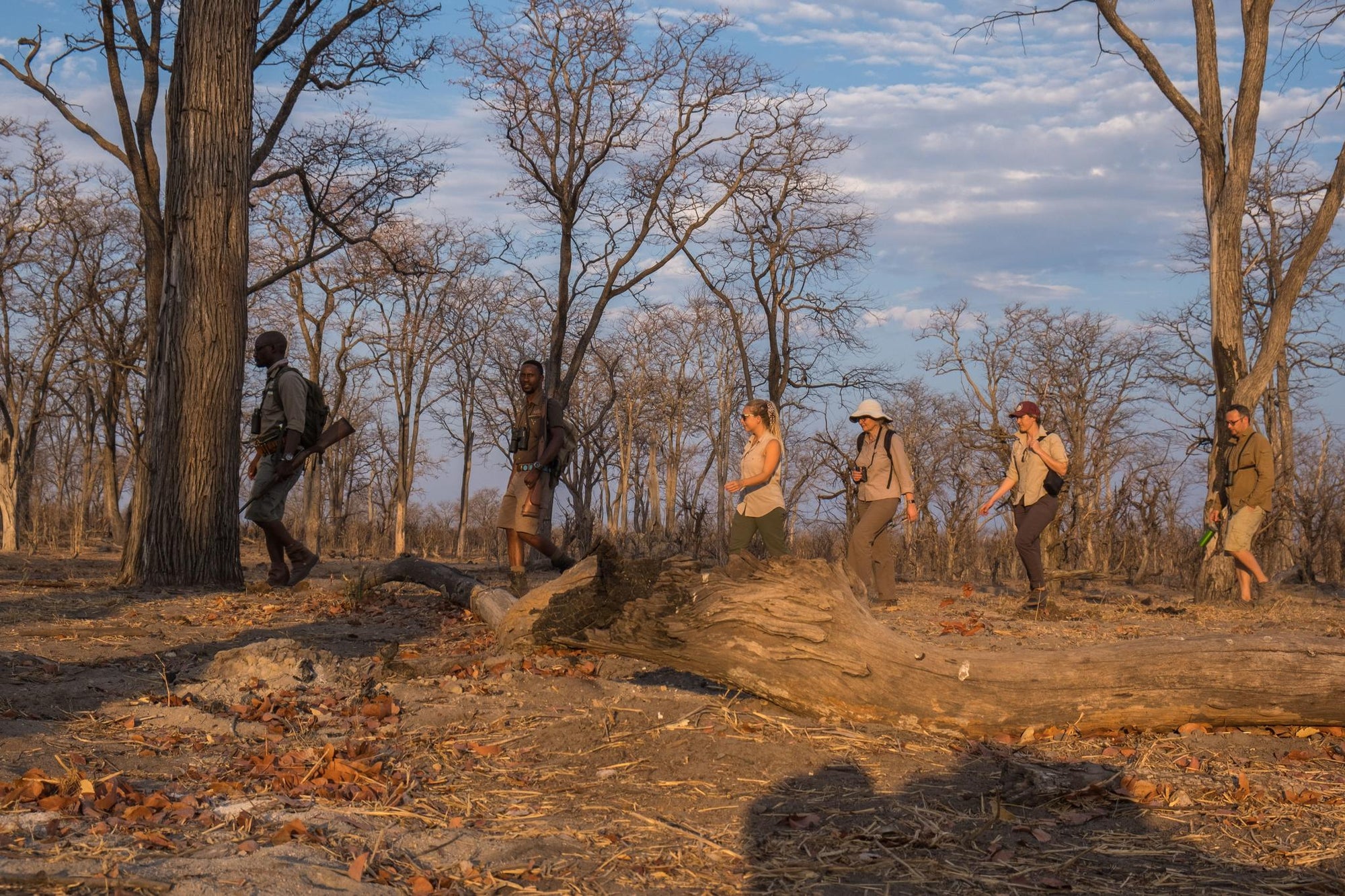 Walking Safaris gallery image 4