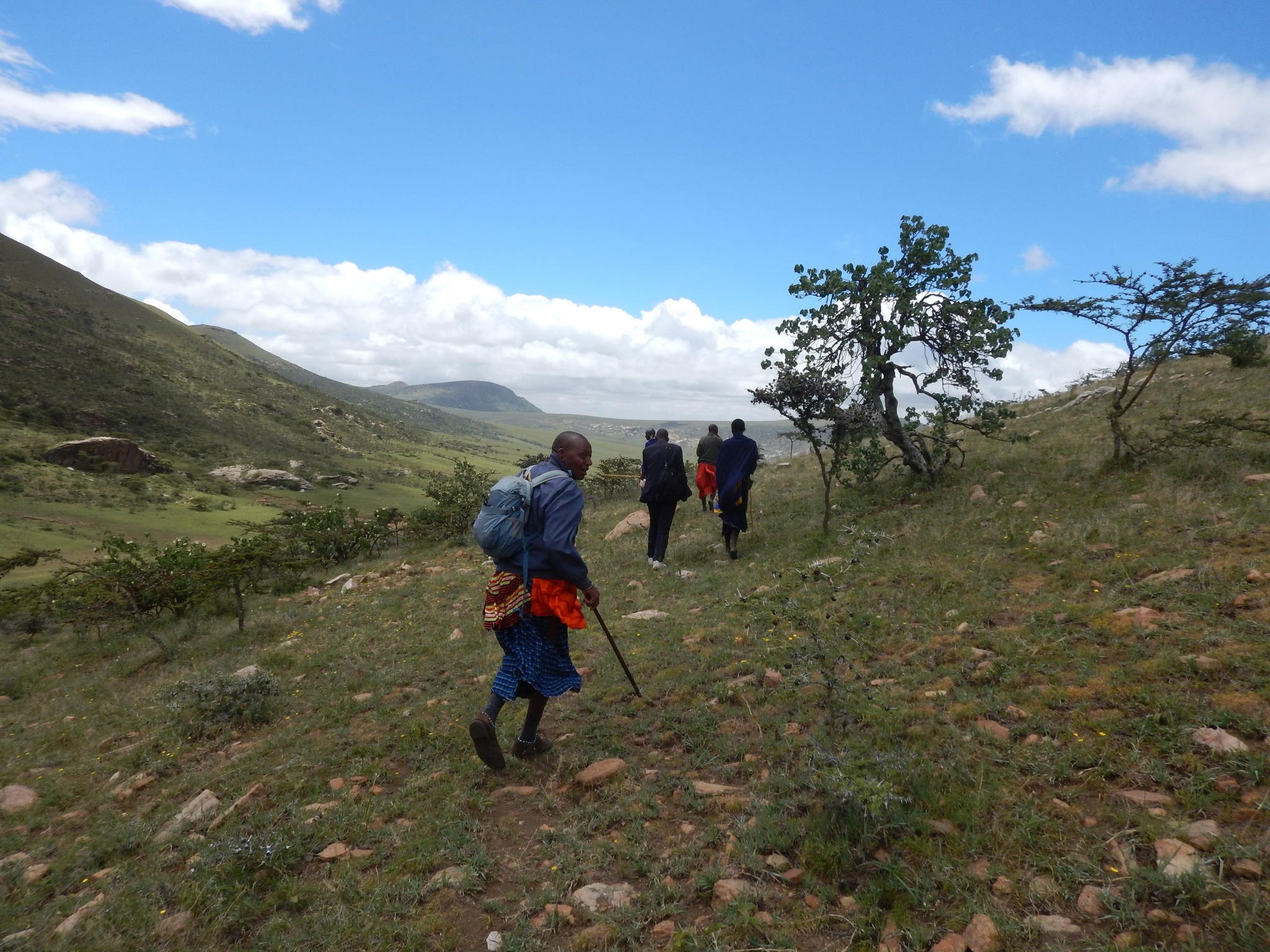 Interact with KopeLion conservation team (Additional Cost) gallery image 4