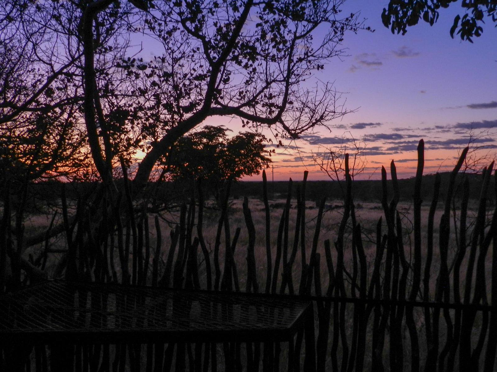 Sunrise Walk at Etosha Village