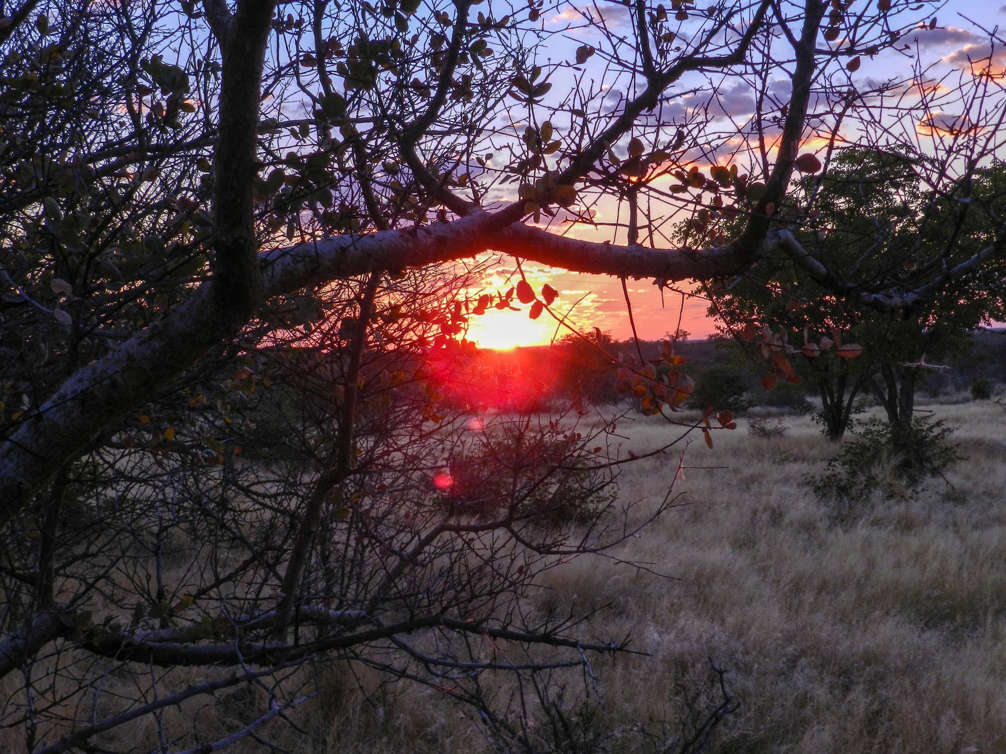 Sunrise Walk at Etosha Village gallery image 4