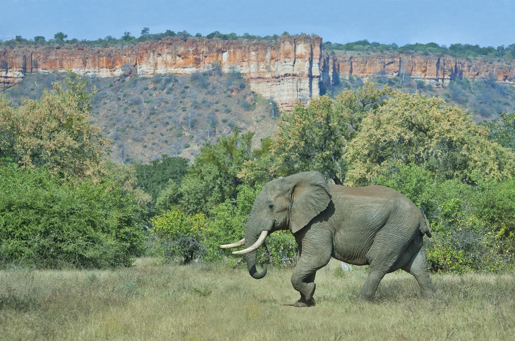 Chilojo Cliffs Safari gallery image 5