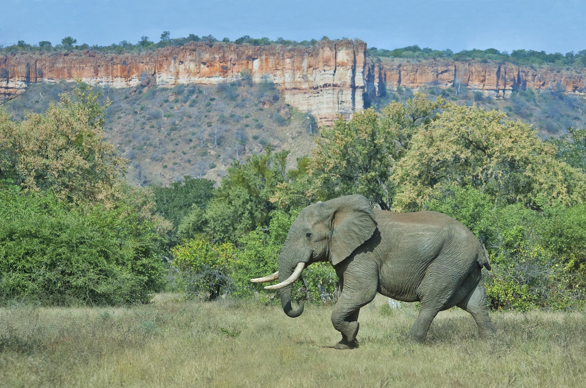 Chilojo Cliffs Safari gallery image 5