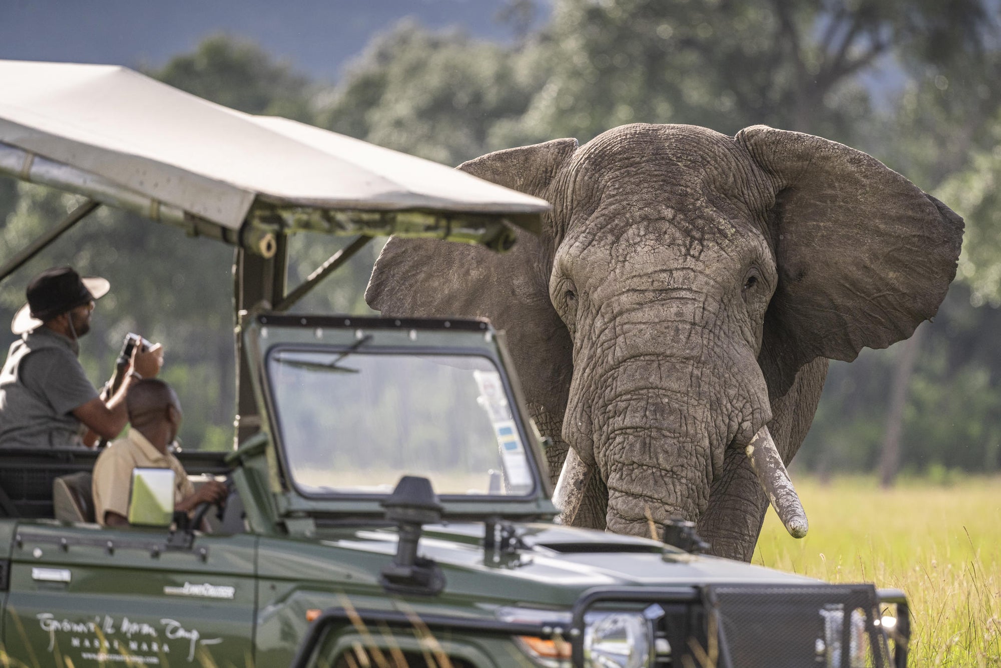 Game Drives gallery image 3