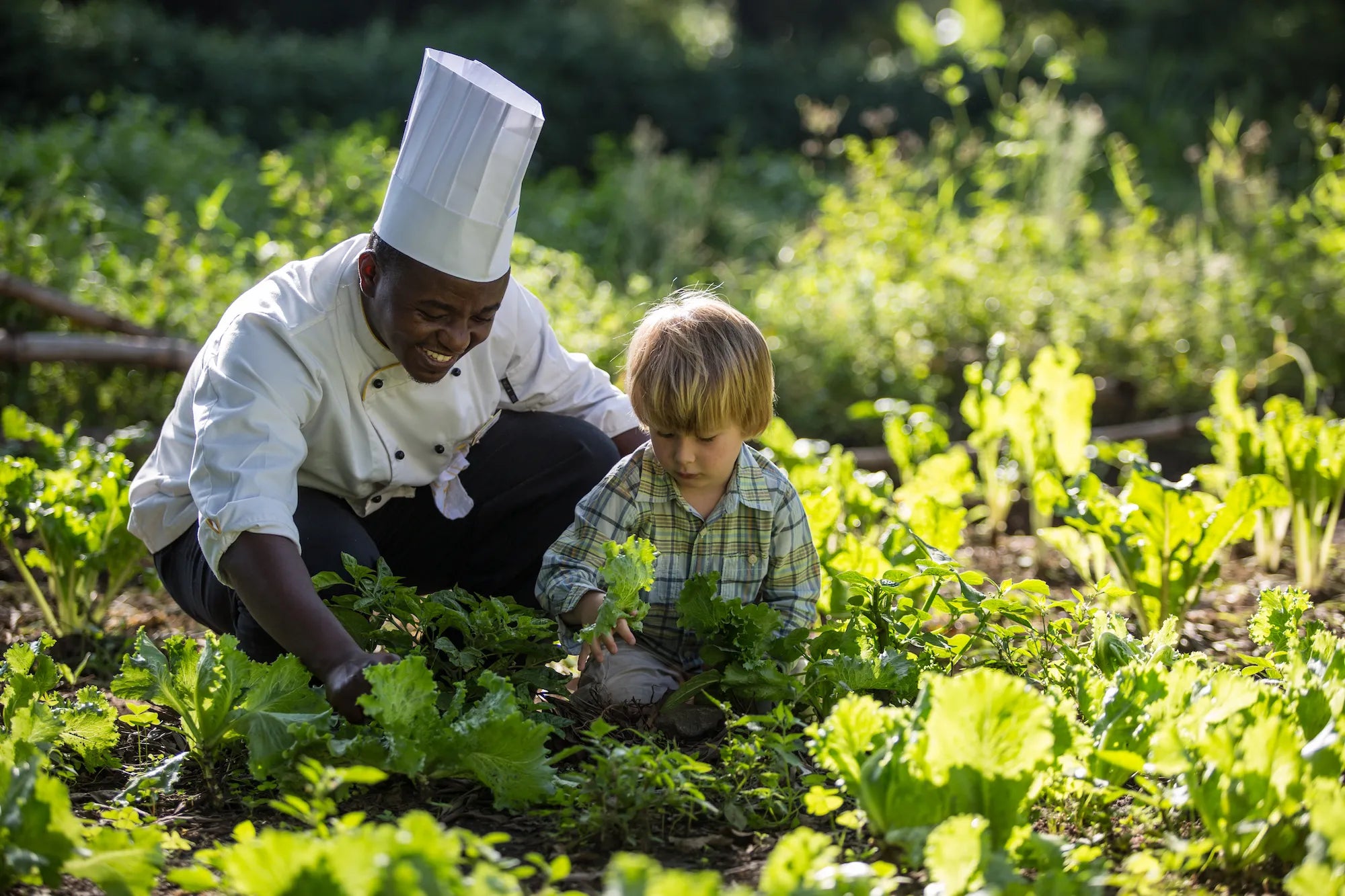 Elewana Arusha Coffee Lodge at Elewana Arusha Coffee Lodge, Arusha, Tanzania.