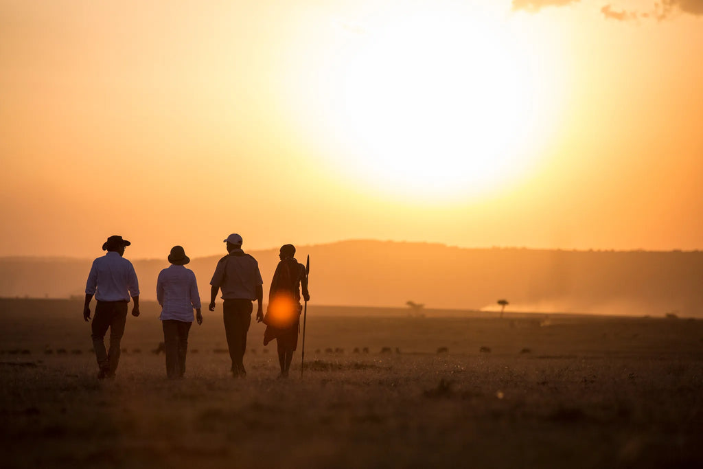Elewana Elephant Pepper Camp - Activities & Wildlife at Elewana Elephant Pepper Camp, Mara North Conservancy, Kenya.
