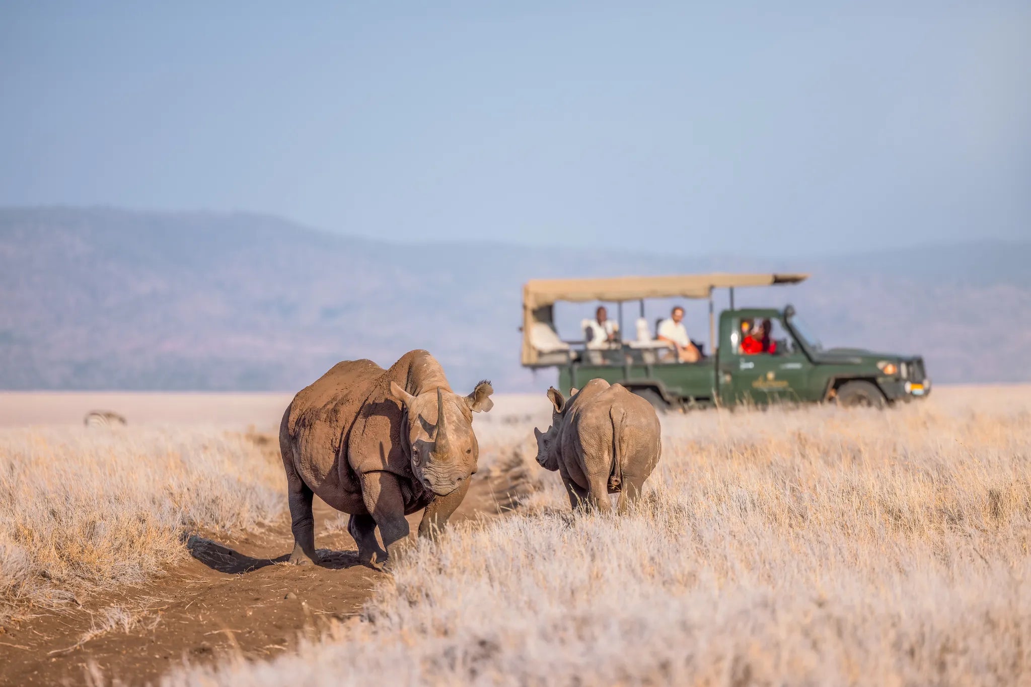 Lewa Safari Camp at Elewana Lewa Safari Camp, Lewa Conservancy, Kenya.