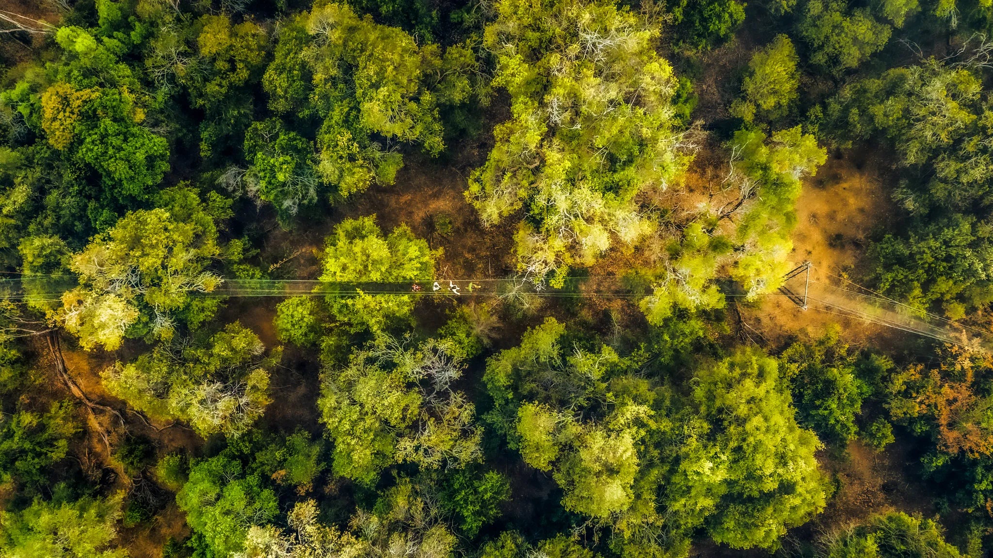 Lewa Safari Camp at Elewana Lewa Safari Camp, Lewa Conservancy, Kenya.