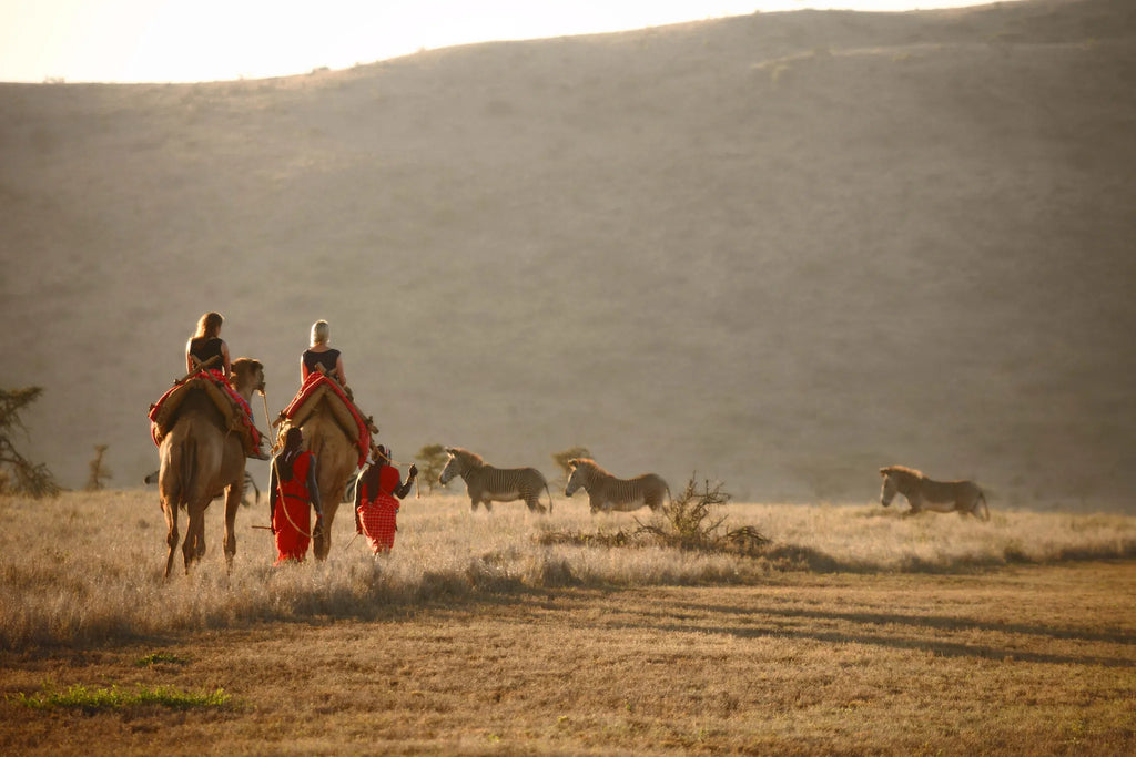 Elewana Lewa Safari Camp at Elewana Lewa Safari Camp, Lewa Conservancy, Kenya.