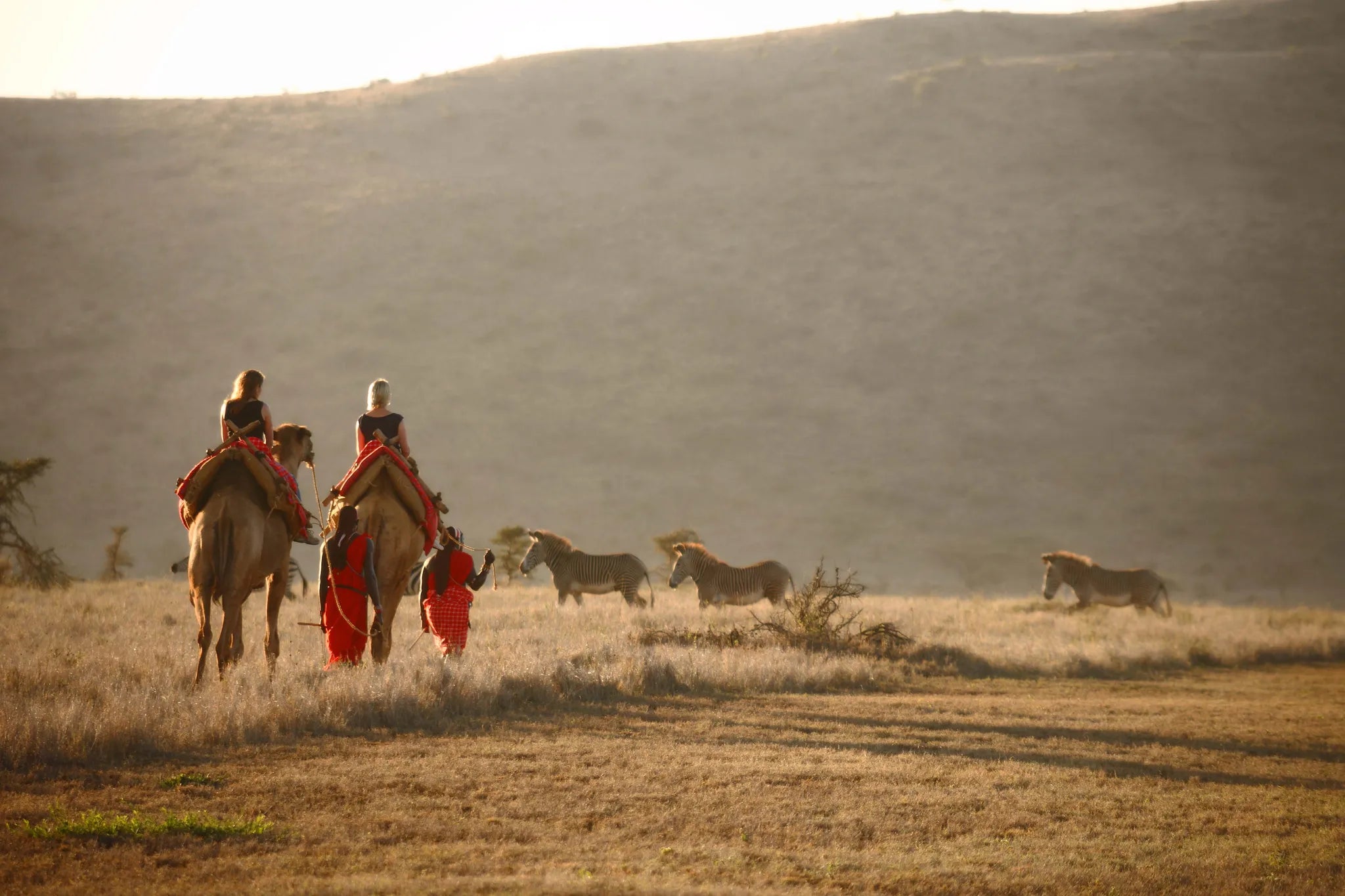 Elewana Lewa Safari Camp at Elewana Lewa Safari Camp, Lewa Conservancy, Kenya.