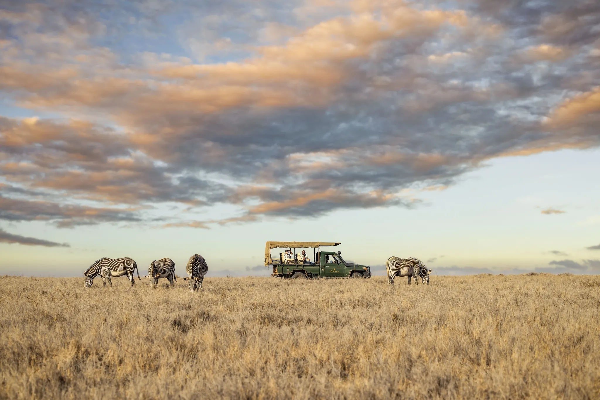 Elewana Lewa Safari Camp at Elewana Lewa Safari Camp, Lewa Conservancy, Kenya.
