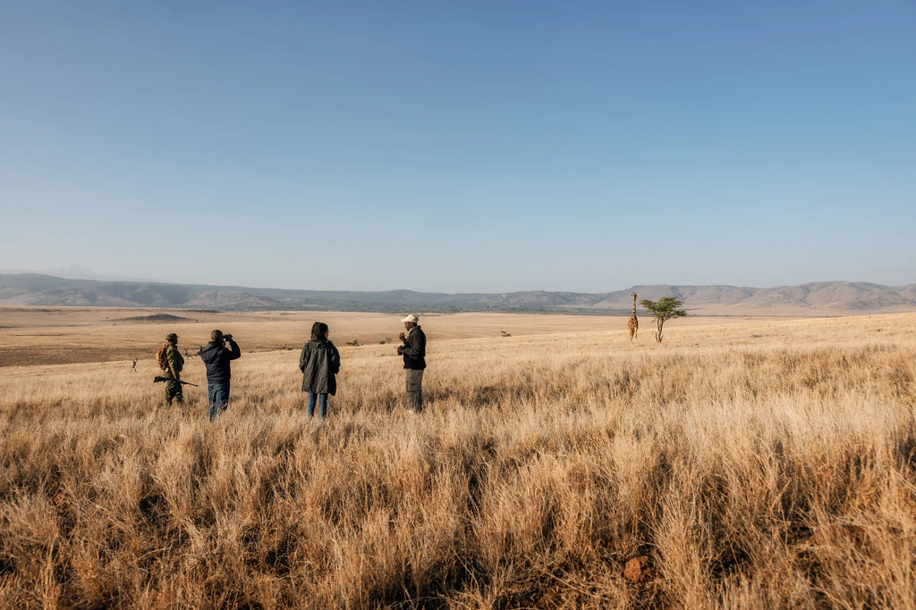 Elewana Lewa Safari Camp at Elewana Lewa Safari Camp, Lewa Conservancy, Kenya.