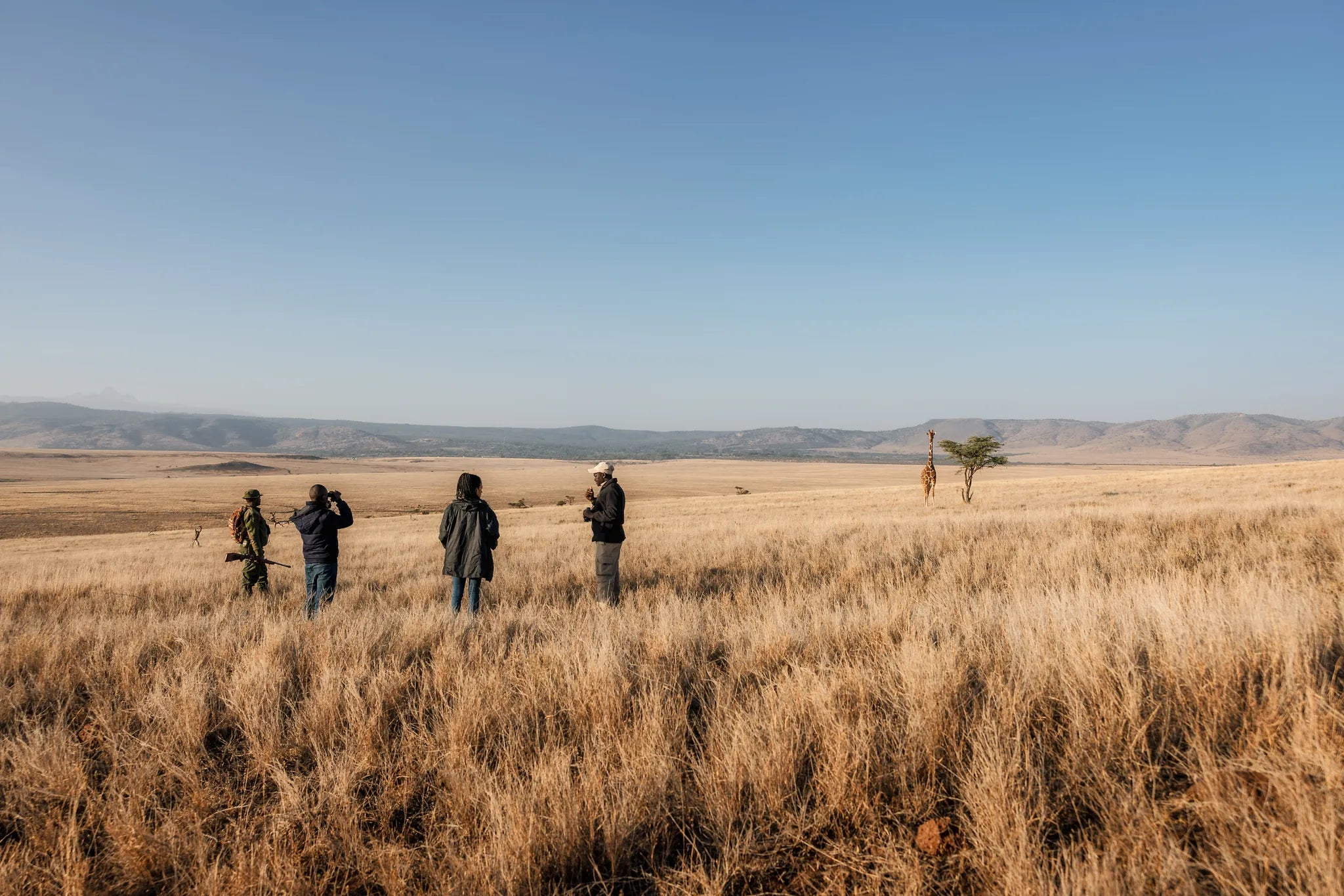 Elewana Lewa Safari Camp at Elewana Lewa Safari Camp, Lewa Conservancy, Kenya.