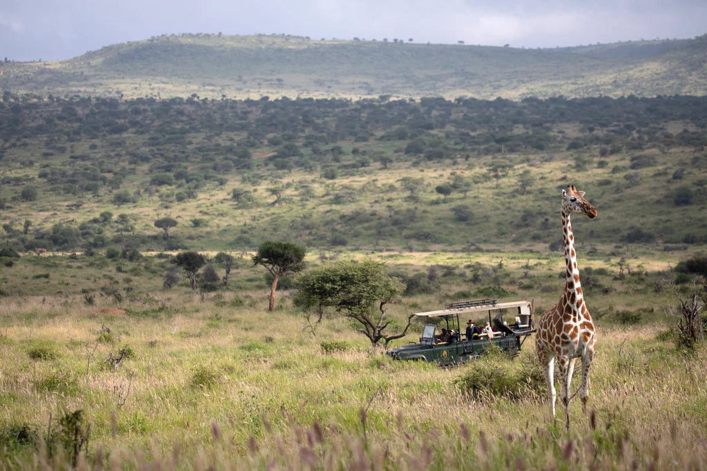 Elewana Loisaba Lodo Springs at Elewana Loisaba Lodo Springs, Loisaba Conservancy, Kenya.