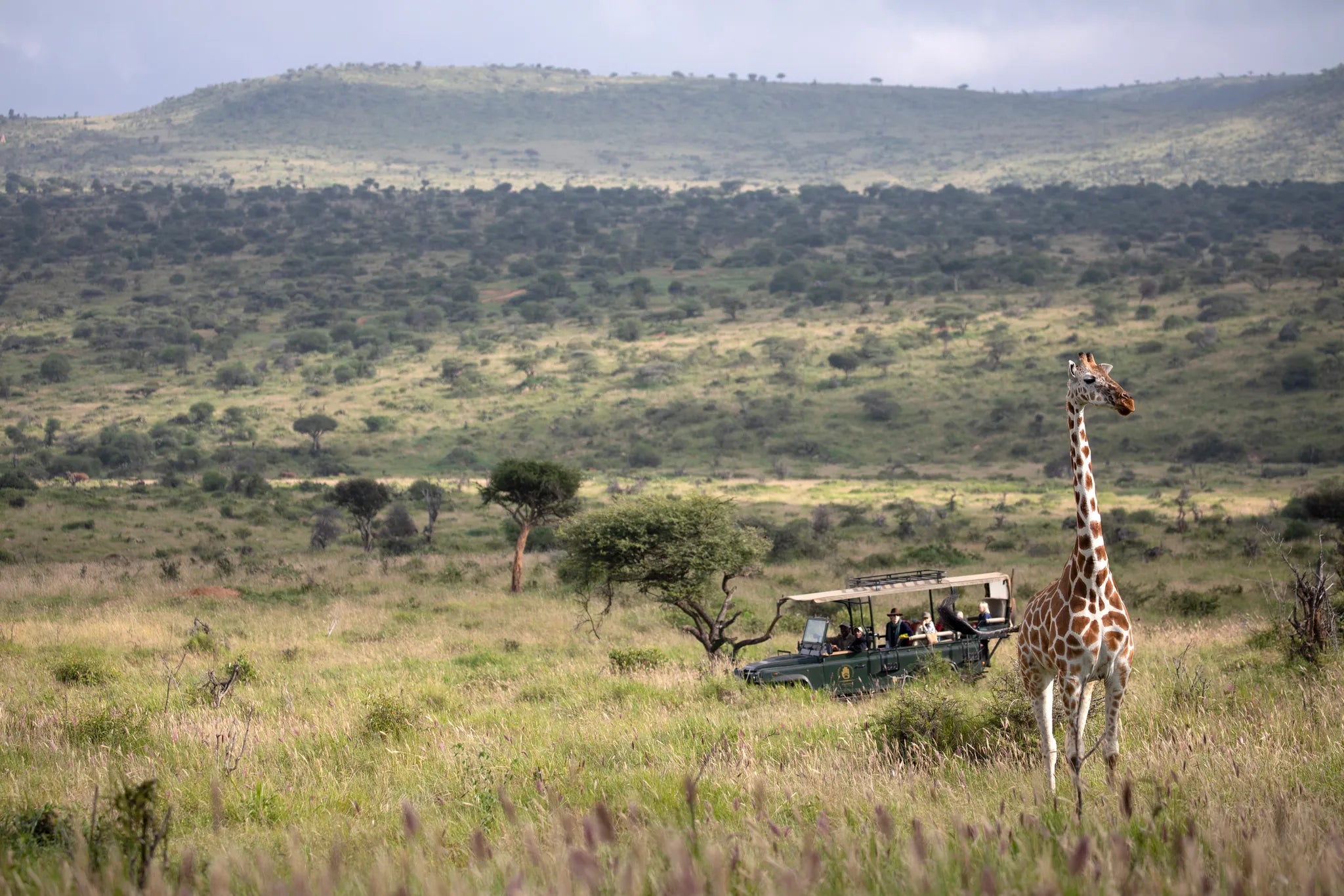 Elewana Loisaba Lodo Springs at Elewana Loisaba Lodo Springs, Loisaba Conservancy, Kenya.