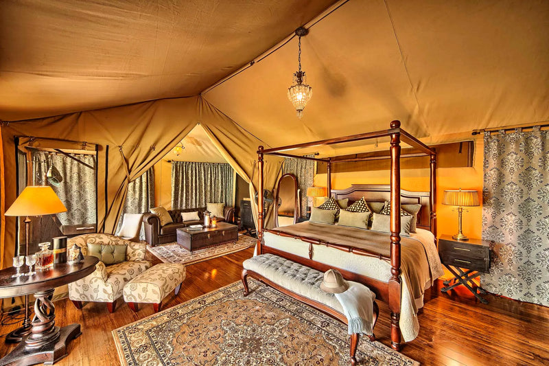 Safari Tents