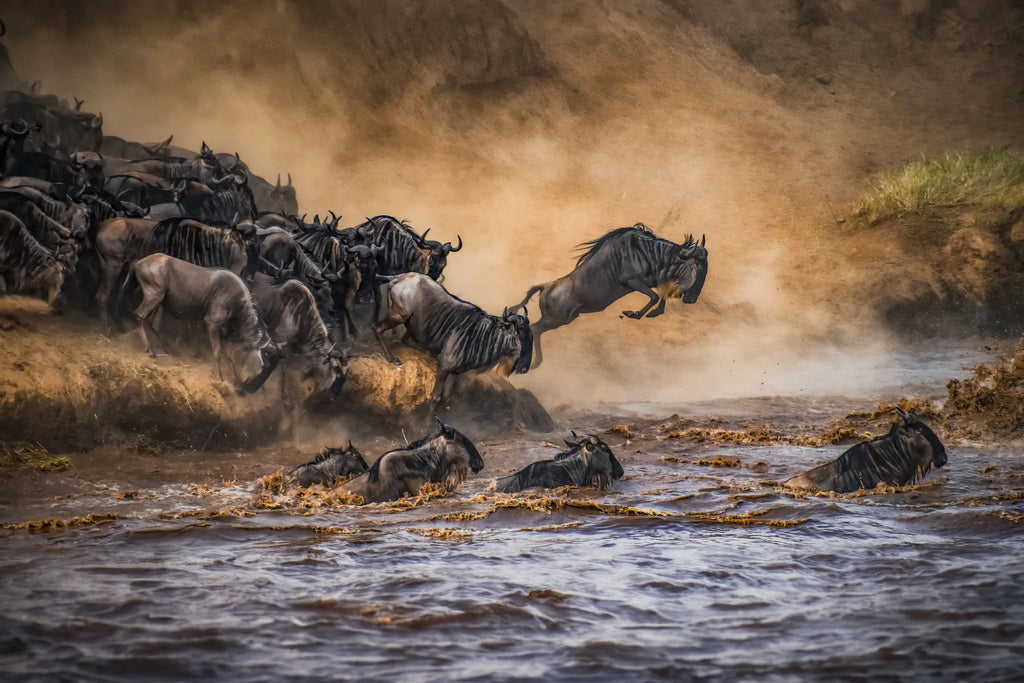 Sand River Masai Mara at Elewana Sand River Masai Mara, Masai Mara, Kenya.