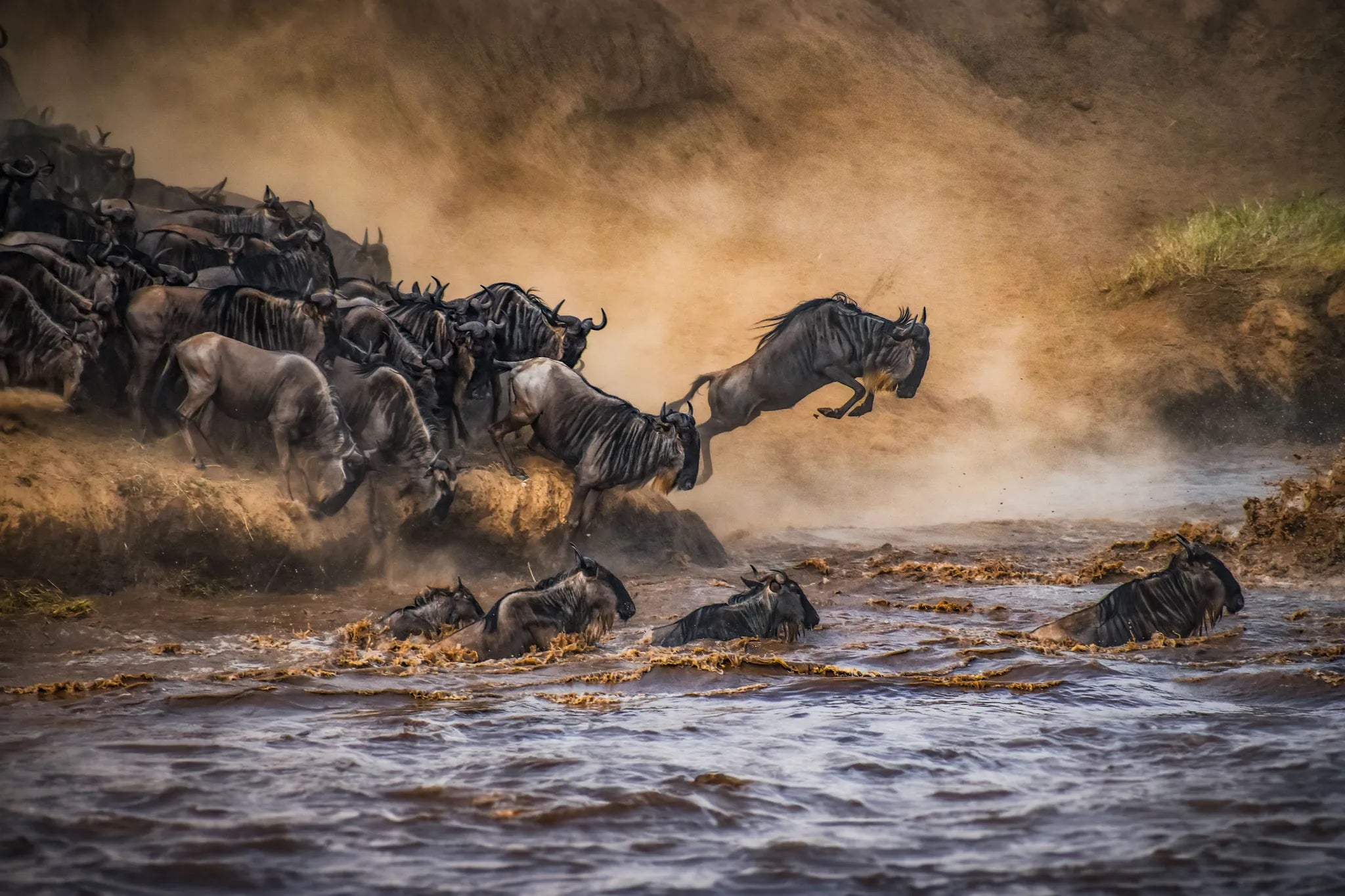 Sand River Masai Mara at Elewana Sand River Masai Mara, Masai Mara, Kenya.