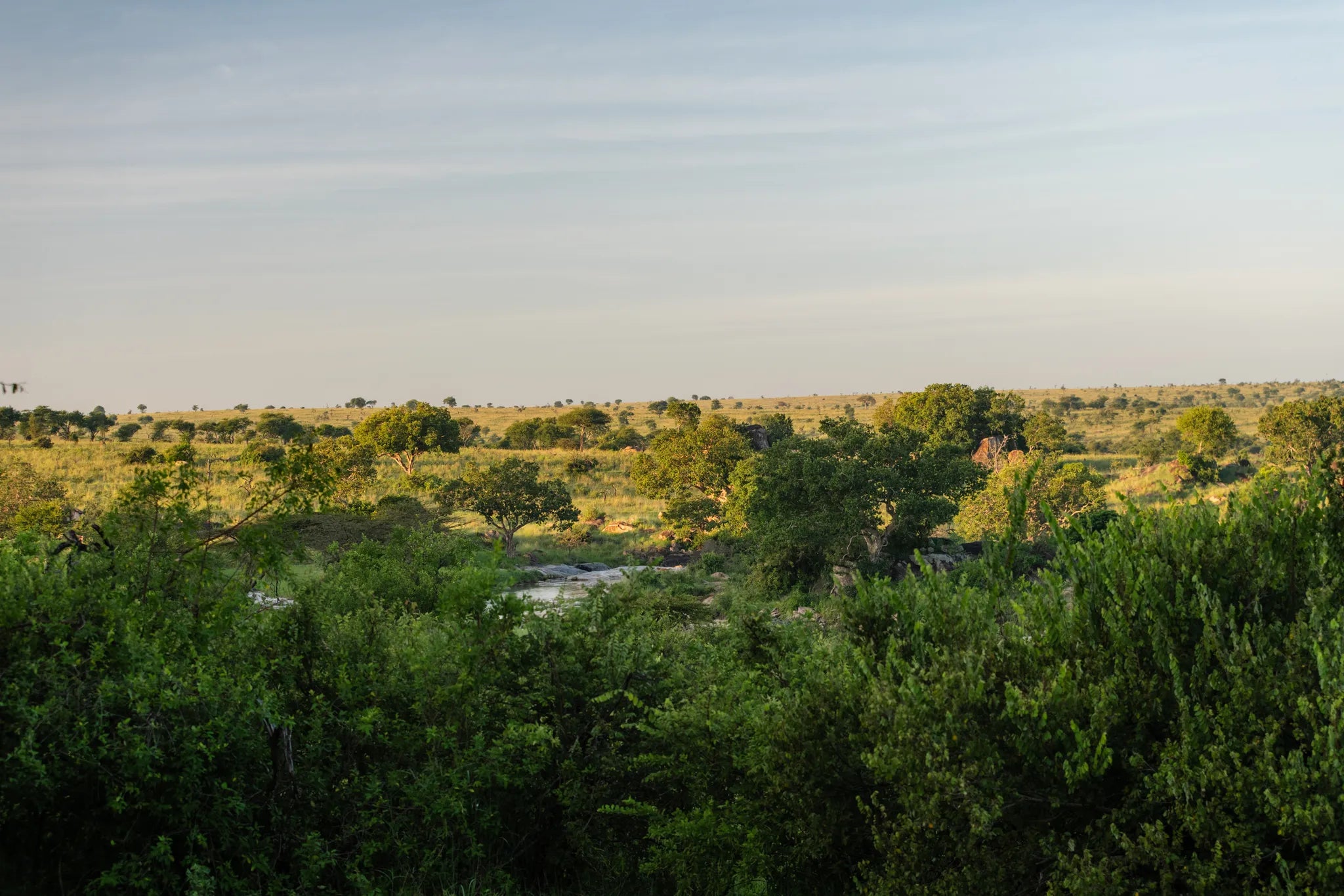 Elewana Serengeti Migration Camp at Elewana Serengeti Migration Camp, Northern Serengeti, Tanzania.