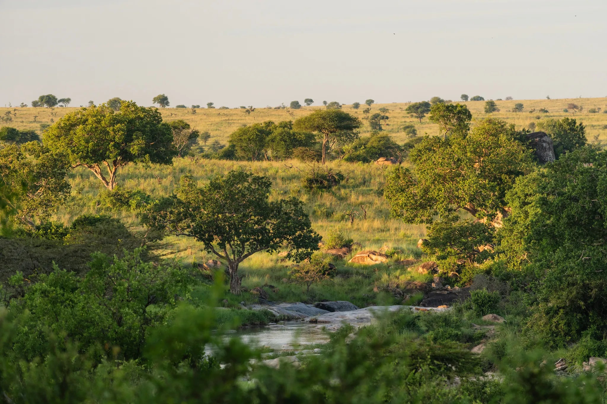Elewana Serengeti Migration Camp at Elewana Serengeti Migration Camp, Northern Serengeti, Tanzania.