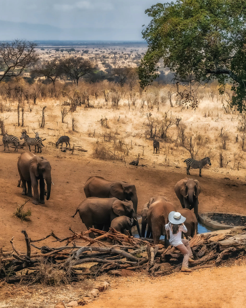 Elewana Tarangire Treetops at Elewana Tarangire Treetops, Randilen, Tanzania.