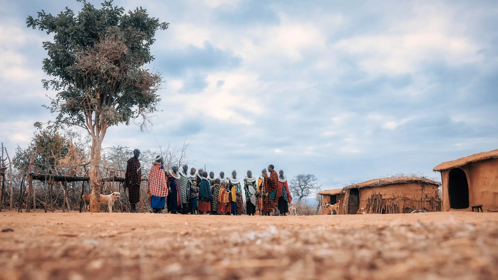 Tarangire Treetops at Elewana Tarangire Treetops, Randilen, Tanzania.