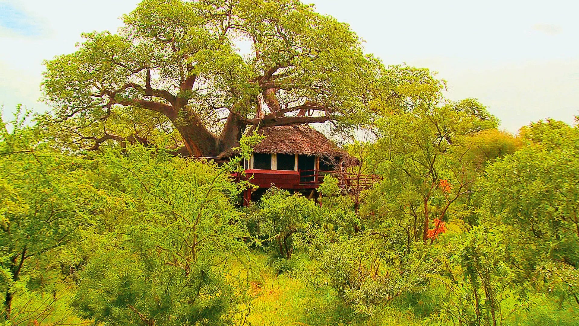 Room gallery image 2.