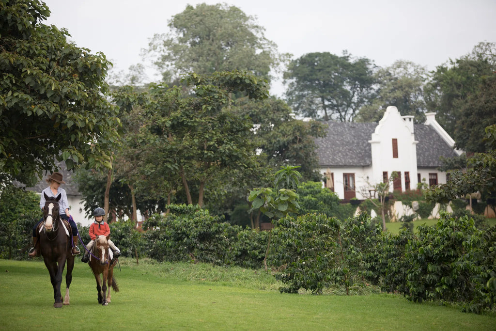 Elewana The Manor at Ngorongoro at Elewana The Manor at Ngorongoro, Karatu, Tanzania.