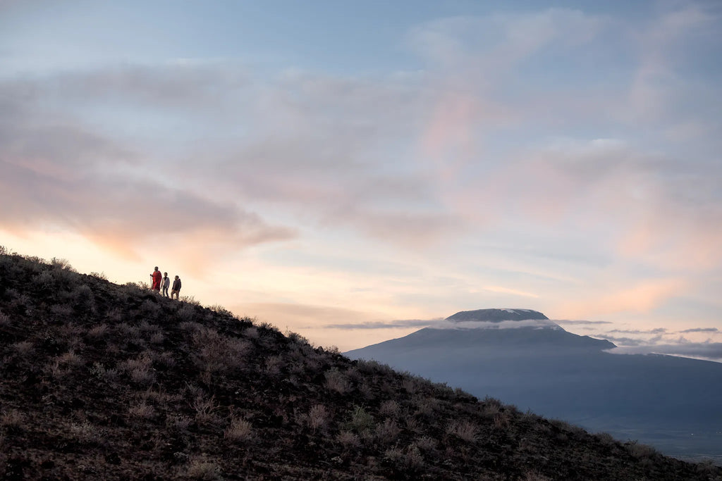 Tortilis Camp Amboseli at Elewana Tortilis Camp Amboseli, Amboseli National Park, Kenya.