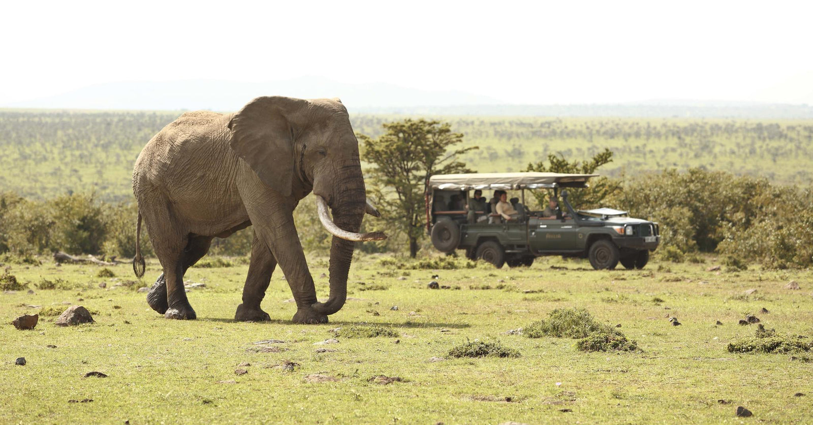Game Drives