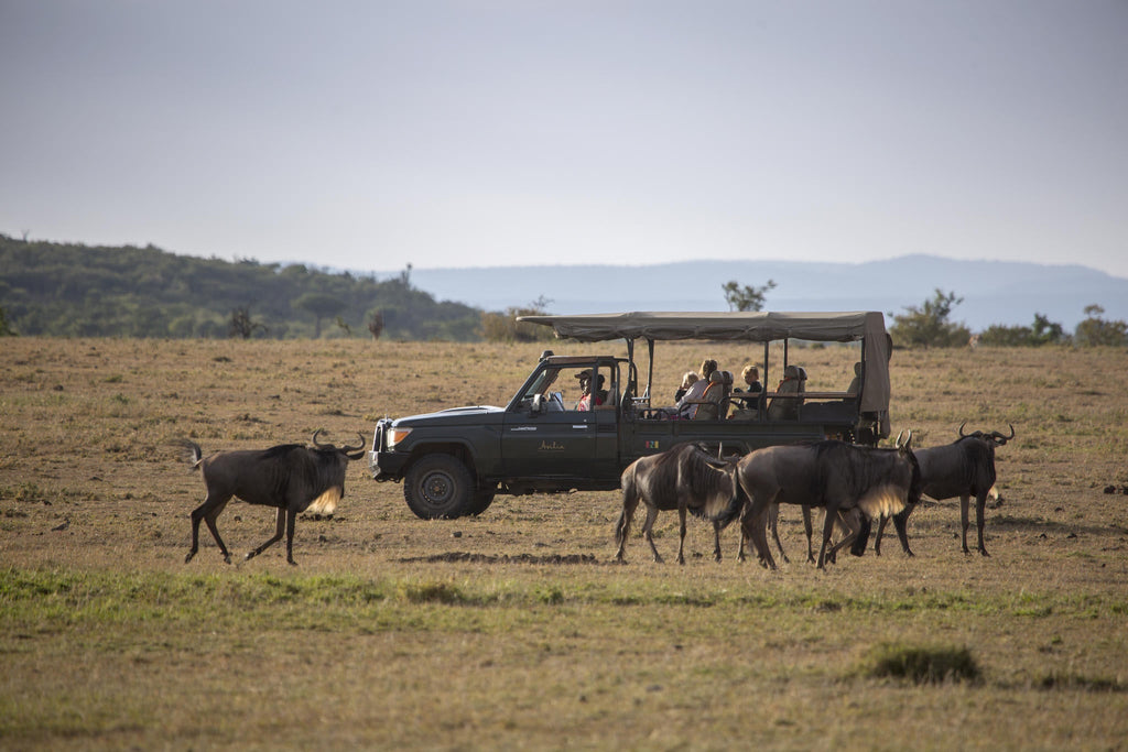 Game Drives gallery image 2