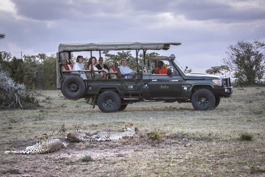 Game Drives gallery image 3