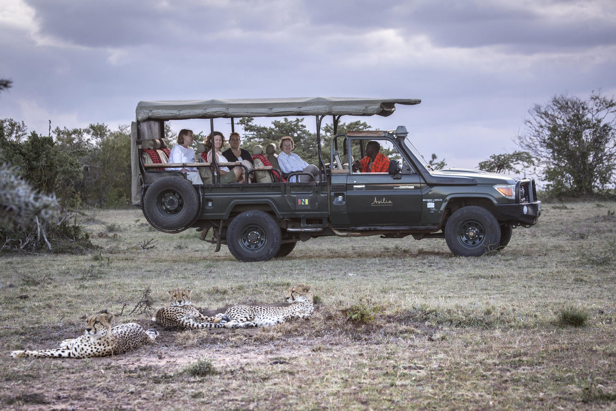 Game Drives gallery image 3