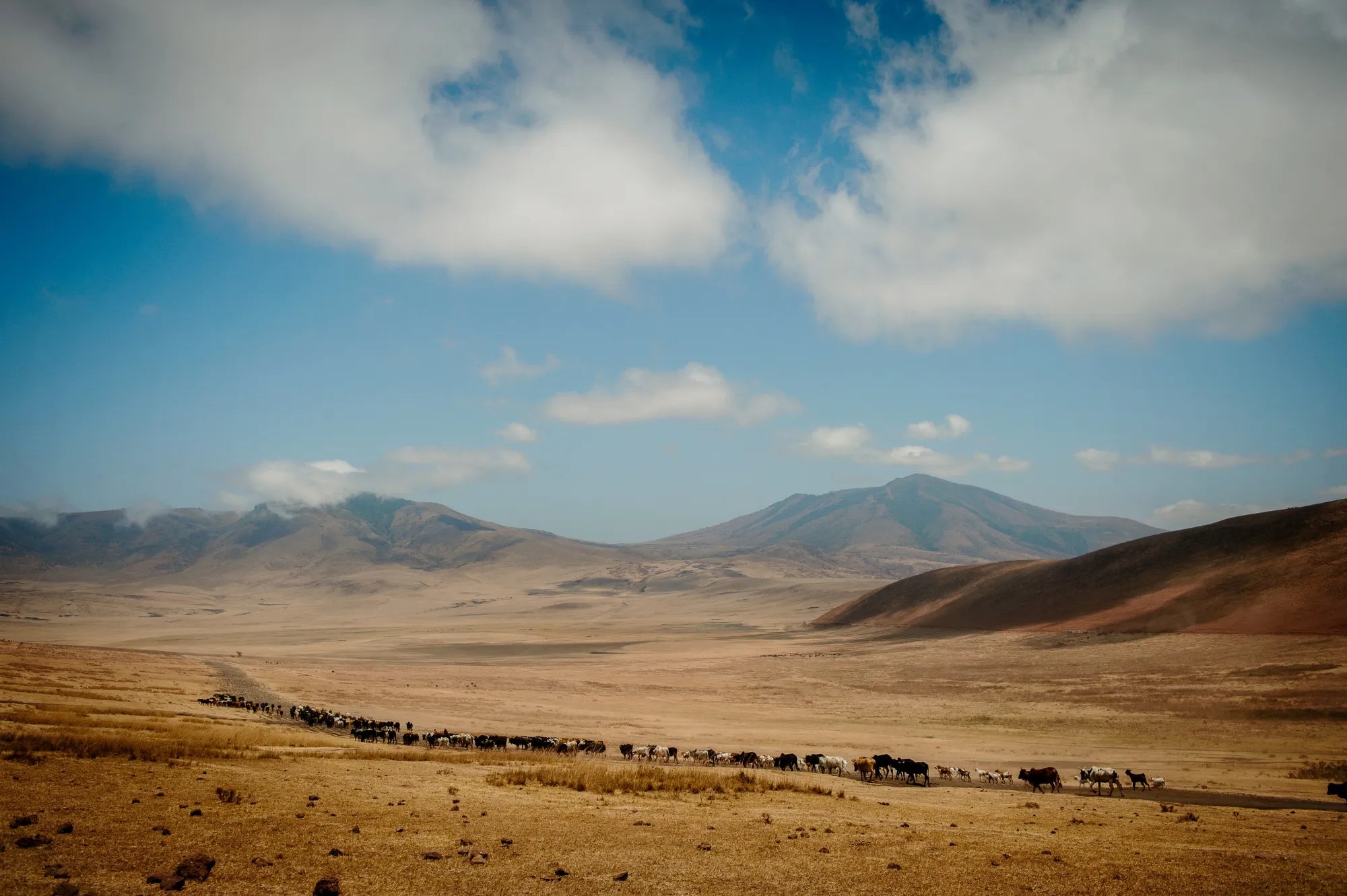 Ngorongoro highlands at Entamanu Ngorongoro, Ngorongoro Crater, Tanzania.