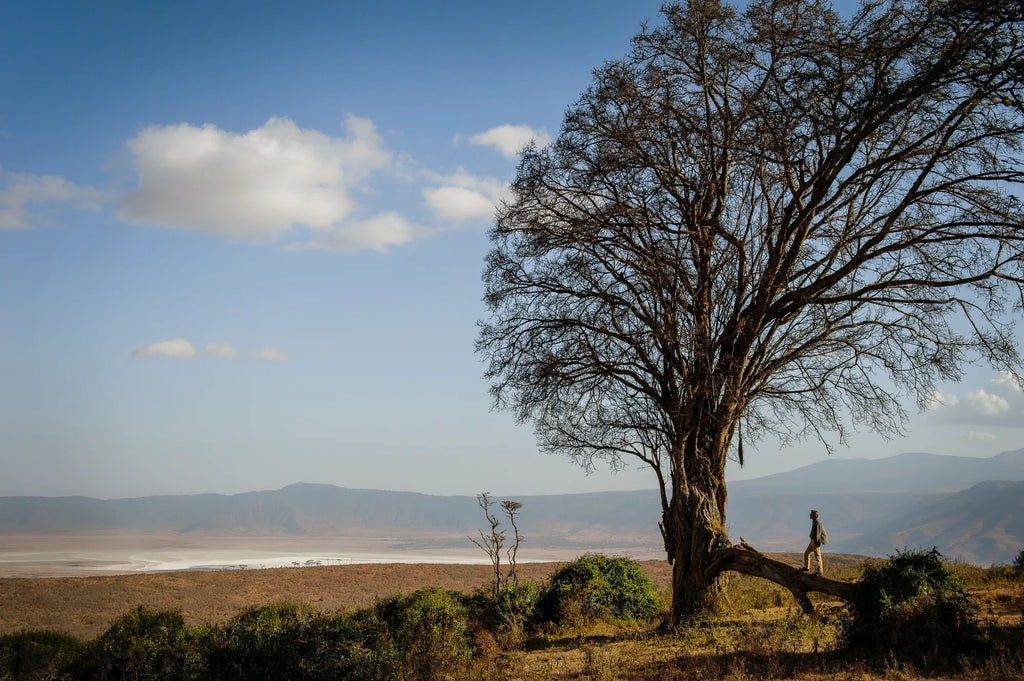 View from Entamanu Ngorongoro at Entamanu Ngorongoro, Ngorongoro Crater, Tanzania.